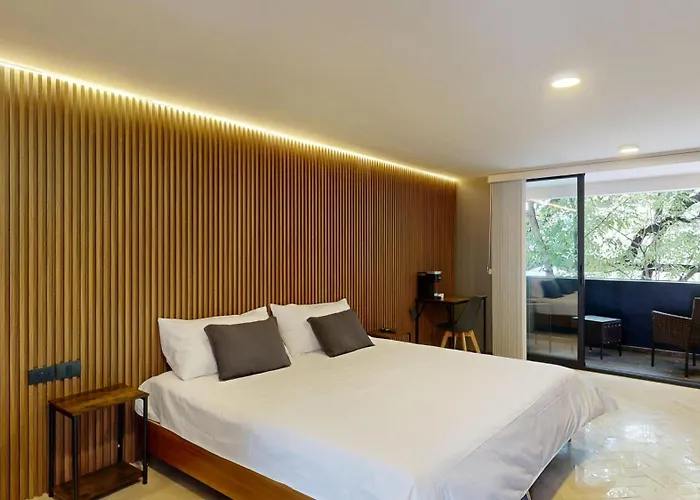 Couette-café Coyohuacan *