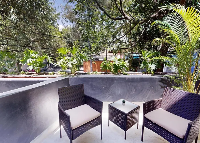 Couette-café Coyohuacan *
